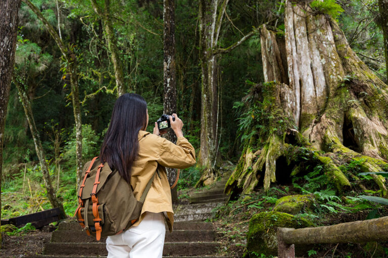 Travel Beyond Expectations